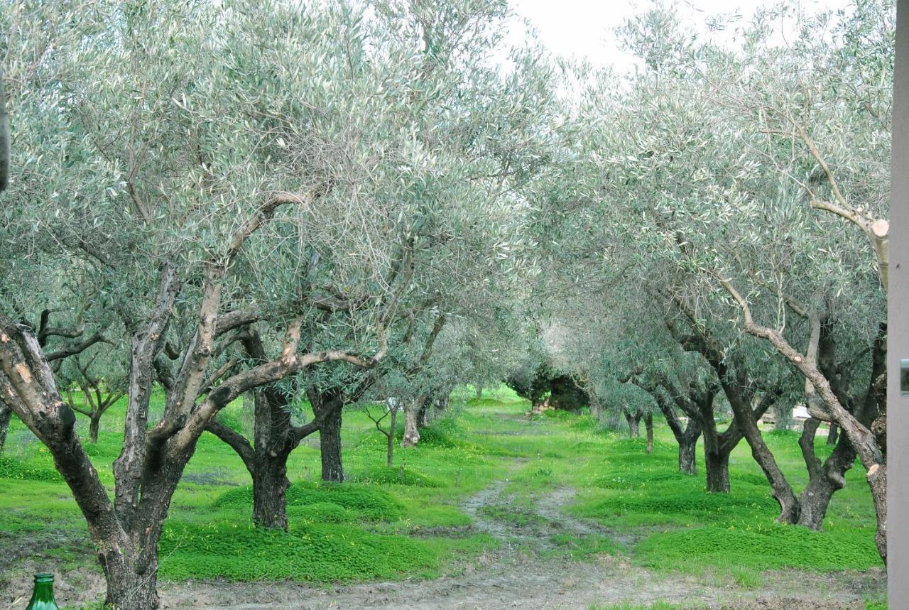 Agriturismo La Mandragola Relais Crotone Exterior foto